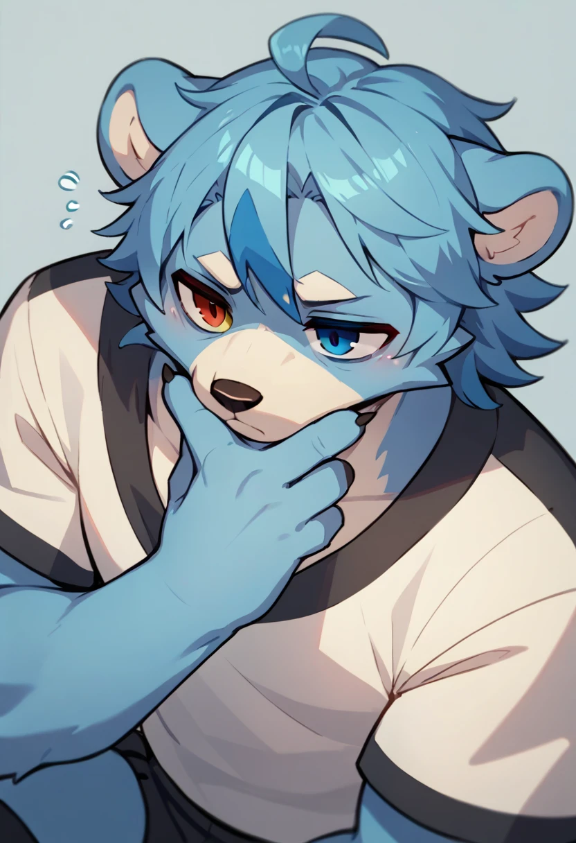 1Male, furry,bear Silver fur, blue hair that fades to an icy blue (shoulder length), heterochromia (Blue, Ice blue) and a tired yet warm look.