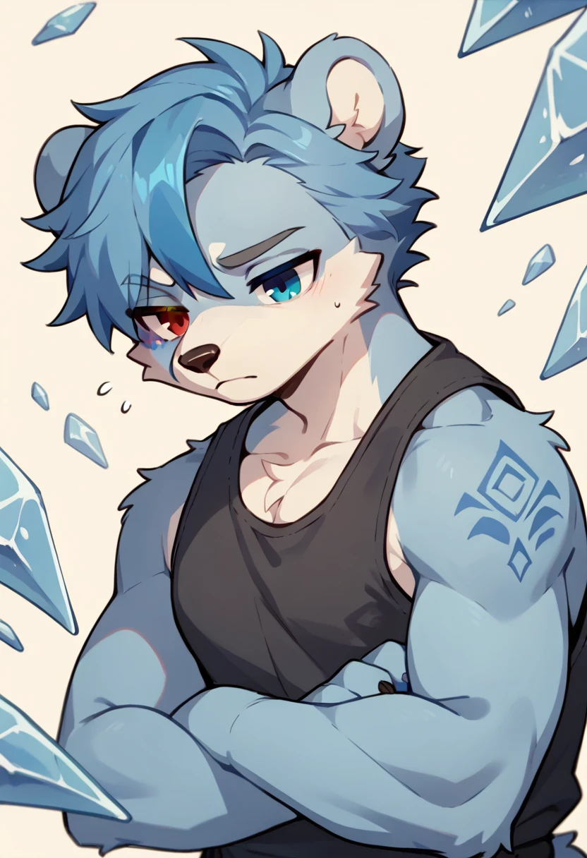 1Male, furry,bear Silver fur, blue hair that fades to an icy blue (shoulder length), heterochromia (Blue, Ice blue) and a tired yet warm look.