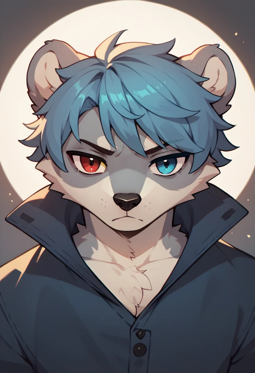 1 male furry bear, gray fur, blue hair fading to light blue, hair that touches shoulders, heterochromia (blue, light blue), tired yet warm expression, extremely detailed face and eyes, detailed fur texture, cinematic lighting, photorealistic, 8k, masterpiece