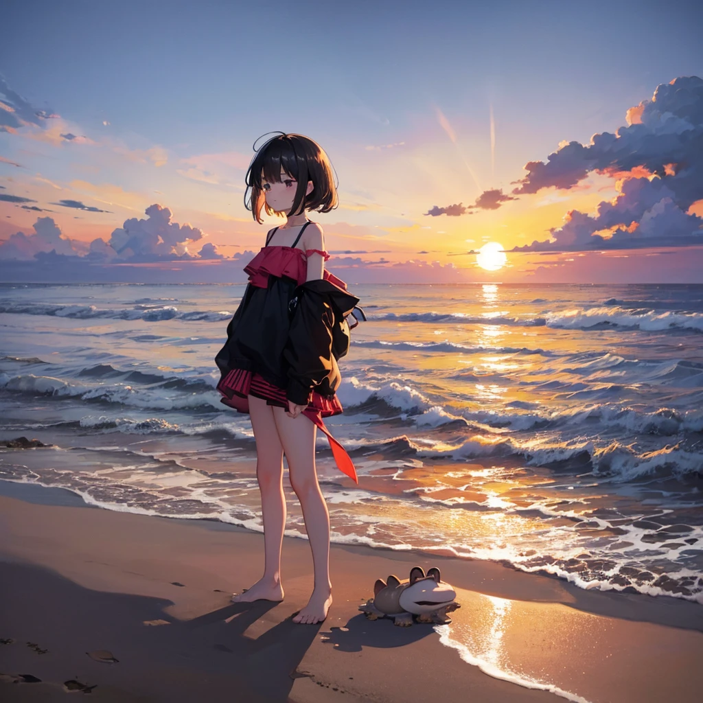 Sad looking at the sunset on a beach with toads 