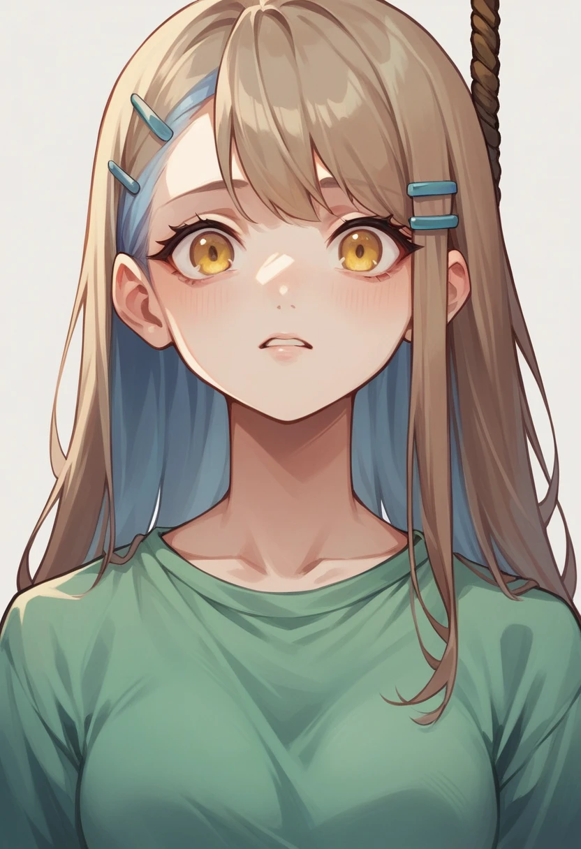 girl,Light blue hair clip,Simple hair tied up,Brown Hair,Long Hair,Yellow Eyes,A simple green shirt,Upper Body,Normal look,