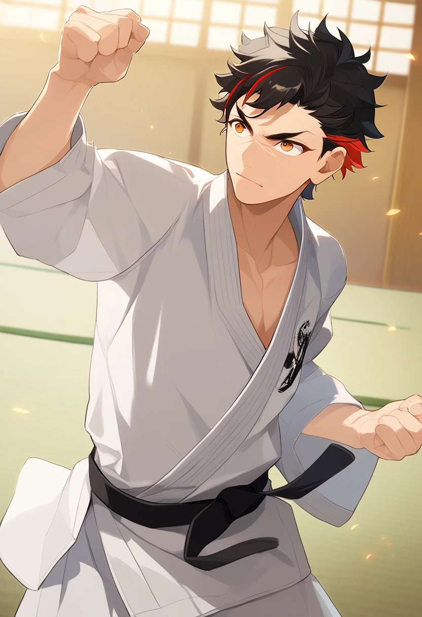 ((zPDXL)), score_9_up, score_8_up, score_7_up, score_6_up, score_5_up, score_4_up, best quality, amazing quality, best aesthetic, absurdres, year2023, sfw, 1boy, male focus, game cg,  tetora nagumo, multicolored hair, black hair, yellow eyes eyes, dojo, tatami, serious face, karate gi, black belt, dynamic pose,