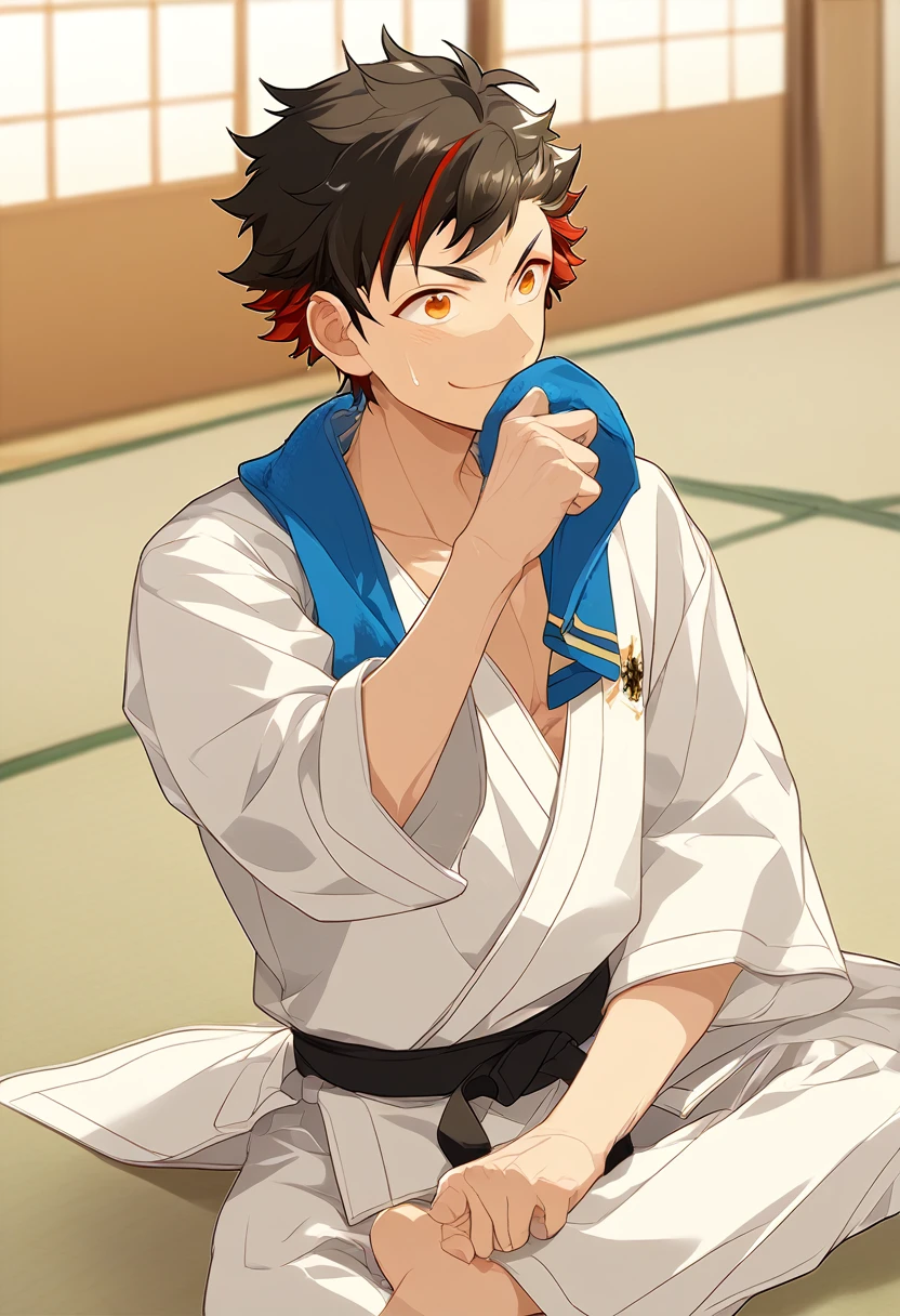 1boy, male focus, 
nagumo tetora, ensemble stars!, 
((zPDXL)), score_9_up, score_8_up, score_7_up, score_6_up, score_5_up, score_4_up, best quality, amazing quality, best aesthetic, absurdres, year2023, sfw, game cg, 
 tetora nagumo, multicolored hair, black hair, yellow eyes eyes, dojo, tatami, karate gi, black belt, crossed legs, sitting, smile, sweats, towel, wiping sweat, kiss