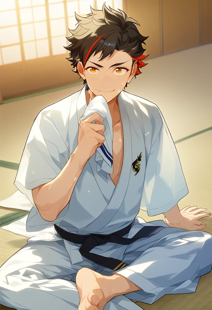 1boy, male focus, 
nagumo tetora, ensemble stars!, 
((zPDXL)), score_9_up, score_8_up, score_7_up, score_6_up, score_5_up, score_4_up, best quality, amazing quality, best aesthetic, absurdres, year2023, sfw, game cg, 
 tetora nagumo, multicolored hair, black hair, yellow eyes eyes, dojo, tatami, karate gi, black belt, crossed legs, sitting, smile, sweats, towel, wiping sweat, kiss