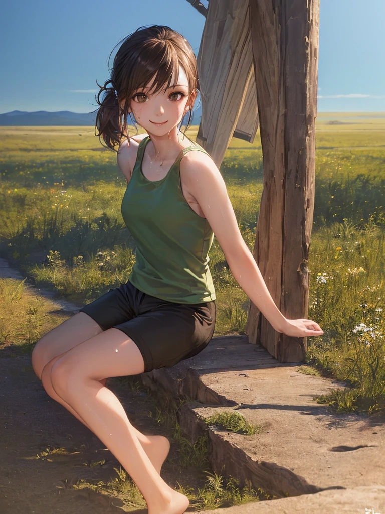 (Highest quality、8k、32K、masterpiece)、(Realistic)、(Realistic:1.2)、(High resolution)、Very detailed、Very beautiful face and eyes、(((Women's Solo Shot)))、Tight waist、(Highest quality、Attention to detail、Rich skin detail)、(Highest quality、8k、Oil paints:1.2)、(Realistic、Realistic:1.37)、Bright colors、(((Full Body Shot)))、(((Bob Hair)))、(((Medium Hair)))、(((Side Ponytail)))、(((smile)))、(((Brown Hair)))、(((Green tank top)))、(((Black shorts)))、(((Being in the steppe)))、(((you can see the horizon)))、((Sweaty skin))、(((It's the top of the mountain)))、((Looks fun))、((I'm making a bonfire))、((It's evening))、standing、Hands on hips、