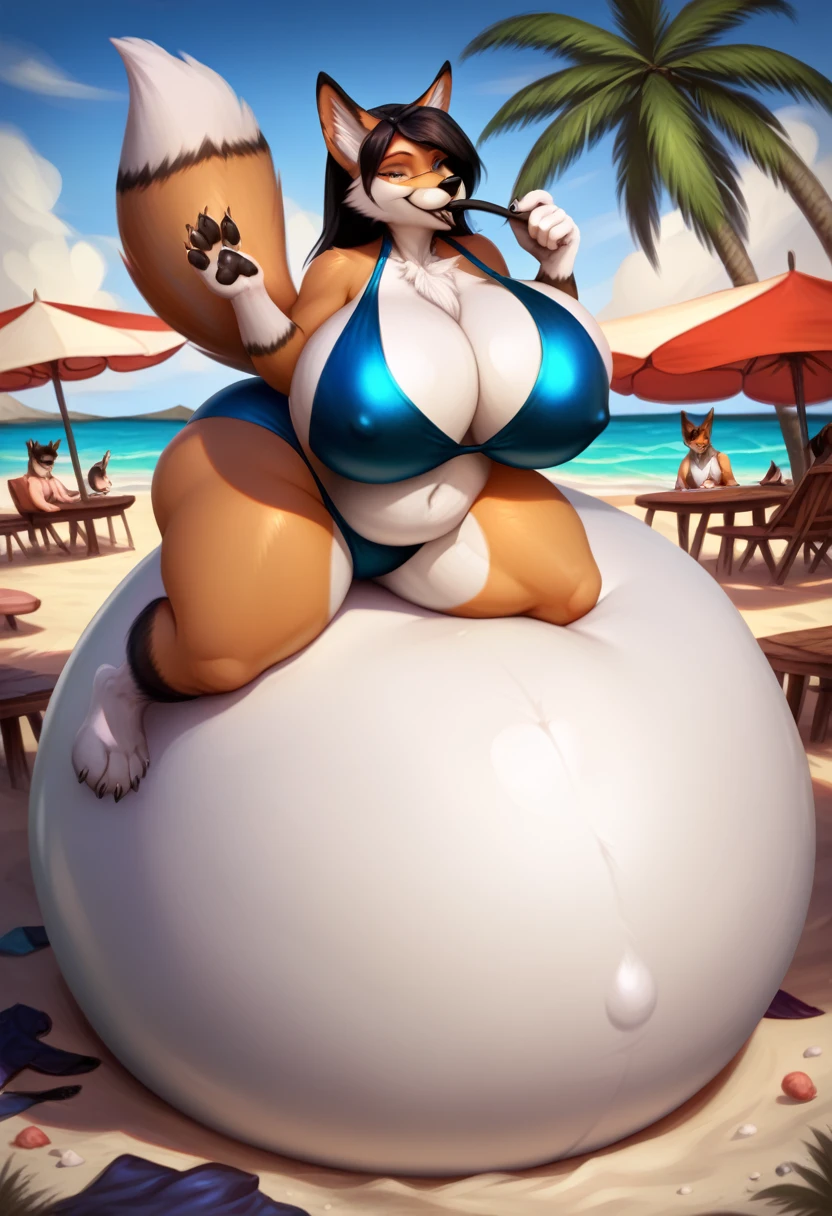 score_9,score_8_up,score_7_up, YAMPER,pokemon, thick legs, thick paws,thin hips,thick thighs,beach,realistic fur,seductive look,fluffy fur,Realistic eyes,Realistic Details,Masterpiece, 18k, high-definition resolution,paws pose,showing the crotch to the viewer, seductive eyes,outdoor,standing,swimsuit,  outdoor cafe, detailed background, coyote, anthro, female, yamper, clothed, hose in mouth, water inflation, blimpbelly, on front, photorealistic, arched back, by taranima , heavy, sitting on floor huge overfilled, huge keep_inflating_Extrem_like a blimp, 