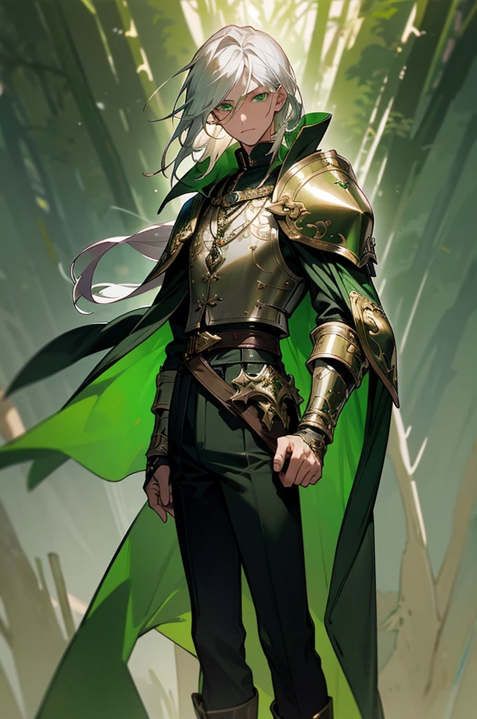 1male, silver hair, shoulder-length, windswept, emerald green eyes, intense gaze, sharp facial features, dark green cloak with intricate gold embroidery, leather chest armor, black trousers, knee-high boots, fingerless gloves, enchanted amulet, forest background with mystical light, detailed face, hands to side, standing on path