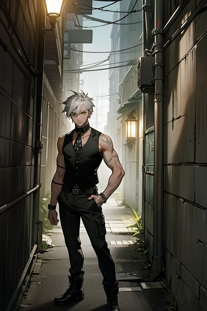1male, steel gray hair, asymmetrical cut, piercing green eyes, serious expression, sleek black vest with silver studs, dark cargo pants, black combat boots, gritty alleyway background with flickering streetlights, detailed face, hands to side, standing on path