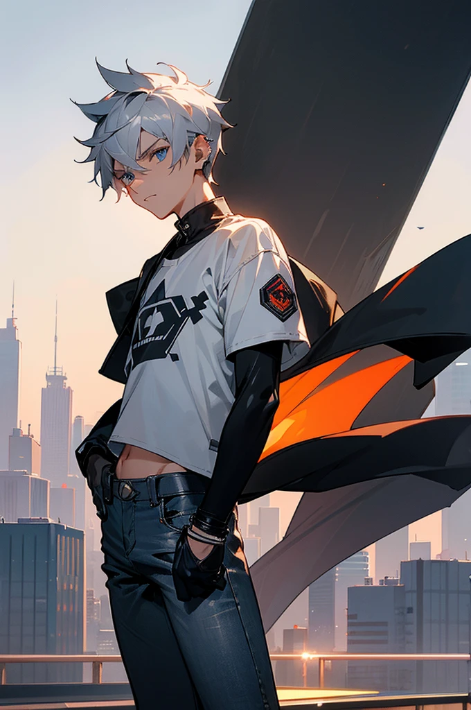 1male, steel gray hair, cropped short, piercing blue eyes, determined expression, sleek black bomber jacket, white t-shirt with a small emblem, dark jeans, black leather gloves, city rooftop background with distant skyscrapers and a sunset, detailed face, hands to side, standing on path