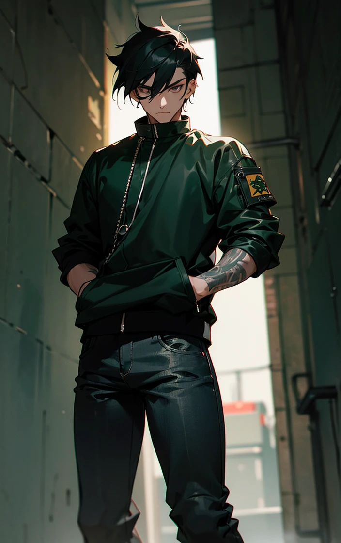 1male, jet black hair, short and tousled, piercing gray eyes, calm expression, subtle dragon tattoo on his left arm, dark green bomber jacket, white t-shirt, black jeans, minimalistic silver chain, urban alleyway background with soft lighting, detailed face, hands to side, standing on path