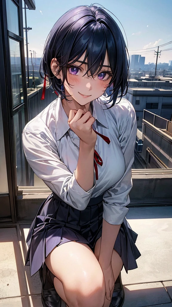 (masterpiece:1.2, Highest quality), (Realistic, photoRealistic:1.4), Beautiful illustrations, (Natural Side Lighting, Cinema Lighting), Browsing Caution, 
View your viewers, Panty shot, Front view:0.6, 1 girl, Japanese, high school girl, Perfect Face, Cute and symmetrical face, Glowing Skin, 
(short hair:1.2, Shaggy Cut:1.2, Dark blue hair), Hair between the eyes, Purple eyes, Droopy eyes, Long eyelashes, (Large Breasts:0.6), 
Beautiful Hair, Beautiful Face, Beautiful attention to detail, Beautiful clavicle, Beautiful body, Beautiful breasts, Beautiful thighs, Beautiful feet, 
((Symmetrical clothing, White collared shirt, Light grey pleated skirt, Red neck ribbon)), Black socks, 
(Beautiful views), morning, School rooftop, squat, (Cute smile, Upward glance), 