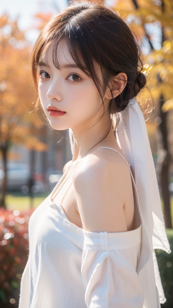 (8k, Highest quality, masterpiece:1.2),(Highest quality:1.0), (Ultra-high resolution:1.0), watercolor, Beautiful woman, shoulder, Hair Ribbon, Agnes Cecil, Half Body Portrait, Very bright and luminous design, pastel colour, (ink:1.3), Autumn Light,