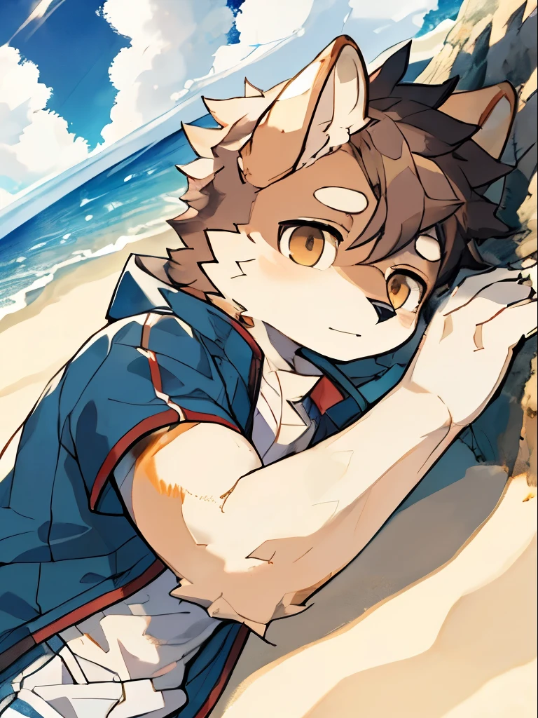 masterpiece, best quality, side, hairy, Male youth,(dog), (Light brown fur), Solitary, Handsome, White trousers and shorts,A little muscle showing under the coat,ocean, Upper Body, Folded ears, Dynamic Angle, Lying down, Beach, Fine grained sand, cloud, Detailed background, blue sky, Sunlight, (Seagull:0.5)