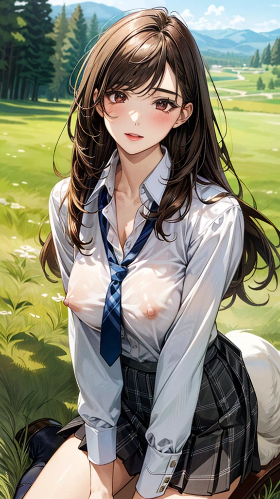 (masterpiece:1.3, top-quality), ultra high res, ultra detailed, (realistic, photorealistic:1.4), beautiful illustration, perfect lighting, colorful, depth of fields,
looking at viewer, (face focus, upper body), 1 girl, solo, hight school girl, gravure model, (large breasts:0.8, large ass, seductive thighs, skindentation),
(long hair:1.2, straight hair:1.2, (saddle-brown colored) hair), swept bangs, (brown) eyes, drooping eyes, big eyes, shiny skin, slender,
beautiful hair, beautiful face, extremely detailed face, beautiful detailed eyes, beautiful clavicle, beautiful body, beautiful chest, beautiful thigh, beautiful legs, beautiful fingers,
(detailed cloth texture, In the grass of a meadow, a girl stands, slightly, legs open. A complete body. Complete hands and legs. Thin waist.
Her face, bright red, flush and shy.
You can see her nipples standing out, even through her shirt. Her breasts are so large that you can see them even through the top of her shirt. (The skirt is shorter than normal, but it is a very short mini-pleated skirt that almost reveals her panties.)The girl has brown hair.
(The skirt is extremely short.) grey plaid tie, collared long sleeve white shirt, grey plaid pleated skirt), black socks, white panties,
(beautiful scenery), (A woman is on all fours in a grassy field. A woman is carrying a large dog on her back.) A complete body. Perfect hands and legs.
Her face, bright red, flush and shy.
Her large breasts and nipples are standing out, even through the top of her shirt. (The skirt is shorter than normal, but even shorter, so short that you can almost see her panties.)The girl has brown hair.
(The skirt is extremely short.) The girl's hair is brown.