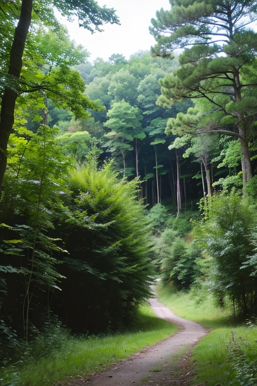 A World Without Sound - **overview**: The sound stops、The moment the color changed。
- **picture**: In the quiet forest、The faded scenery。wood々I can faintly hear the sound of something shaking.。
