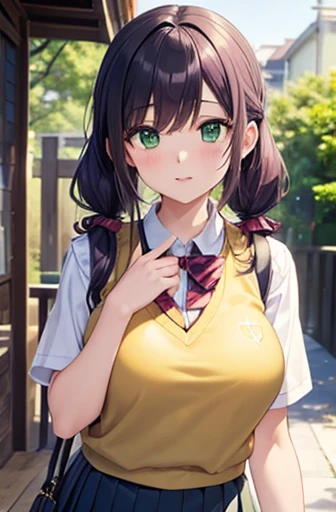 nozomitoujou, nozomi toujou, (green eyes:1.5), purple hair, twintails, low twintails, scrunchie, long hair, (large breast:1.2),
BREAK otonokizaka , pleated skirt, , short sleeves, skirt, summer uniform, sweater vest, yellow sweater vest,
BREAK looking at viewer,
BREAK outdoors, shrine,
BREAK (masterpiece:1.2), best quality, high resolution, unity 8k wallpaper, (illustration:0.8), (beautiful detailed eyes:1.6), extremely detailed face, perfect lighting, extremely detailed CG, (perfect hands, perfect anatomy),