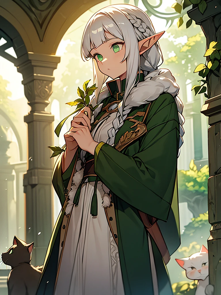 An elf with white hair with small braids and green eyes in a coat with a hanging bag in her hands, a cat