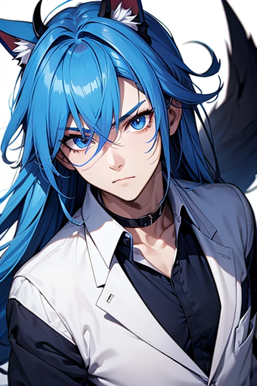 Male half demon, blue hair, long hair, dog ears
