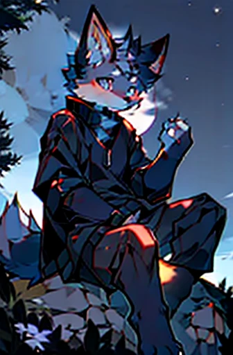 male fox, in a black sweater, sitting on a rock with a big moon in the background