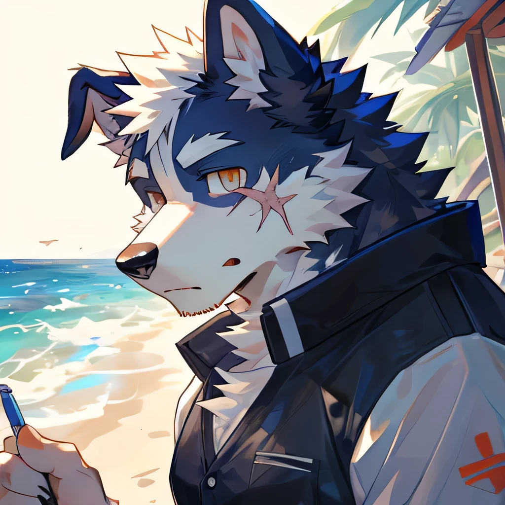 masterpiece,high quality,perfect anatomy,furry,anthro dog,border collie,male, niji5,brown pupils,bright eyes,scar on face,seaside,wearing a swimsuit,detailed face,by kiyosan,close up face