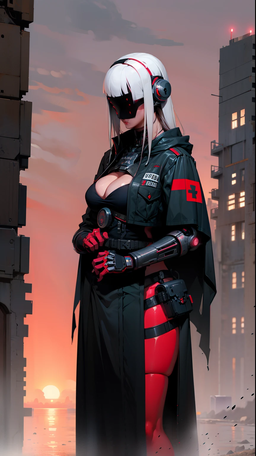woman sexy, lethal cyborg assassin wearing robes armor, danger, Red Sky,post-apocalypse, extremely detaild.