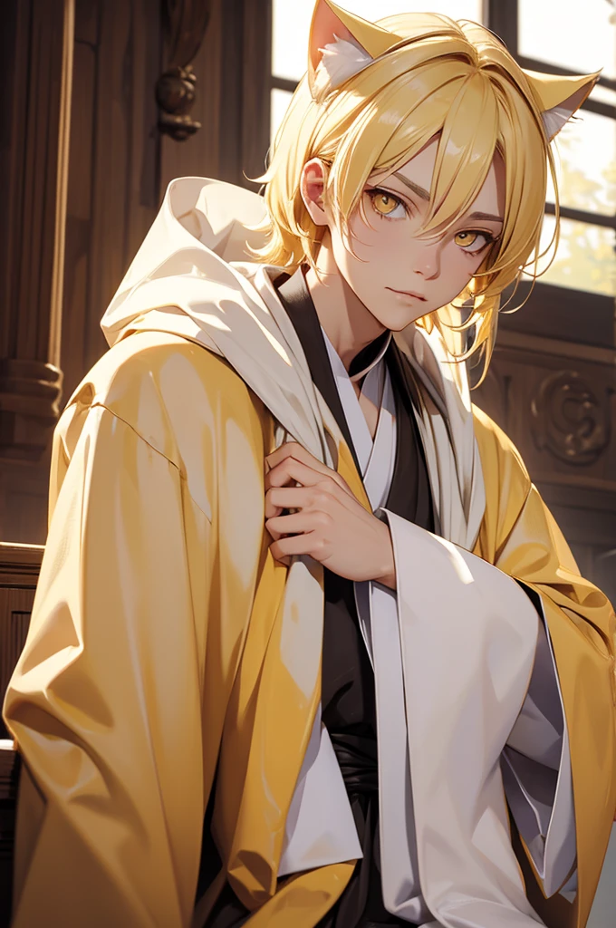 Blonde hair, Priest robes, yellow eyes, cat ears, big chest