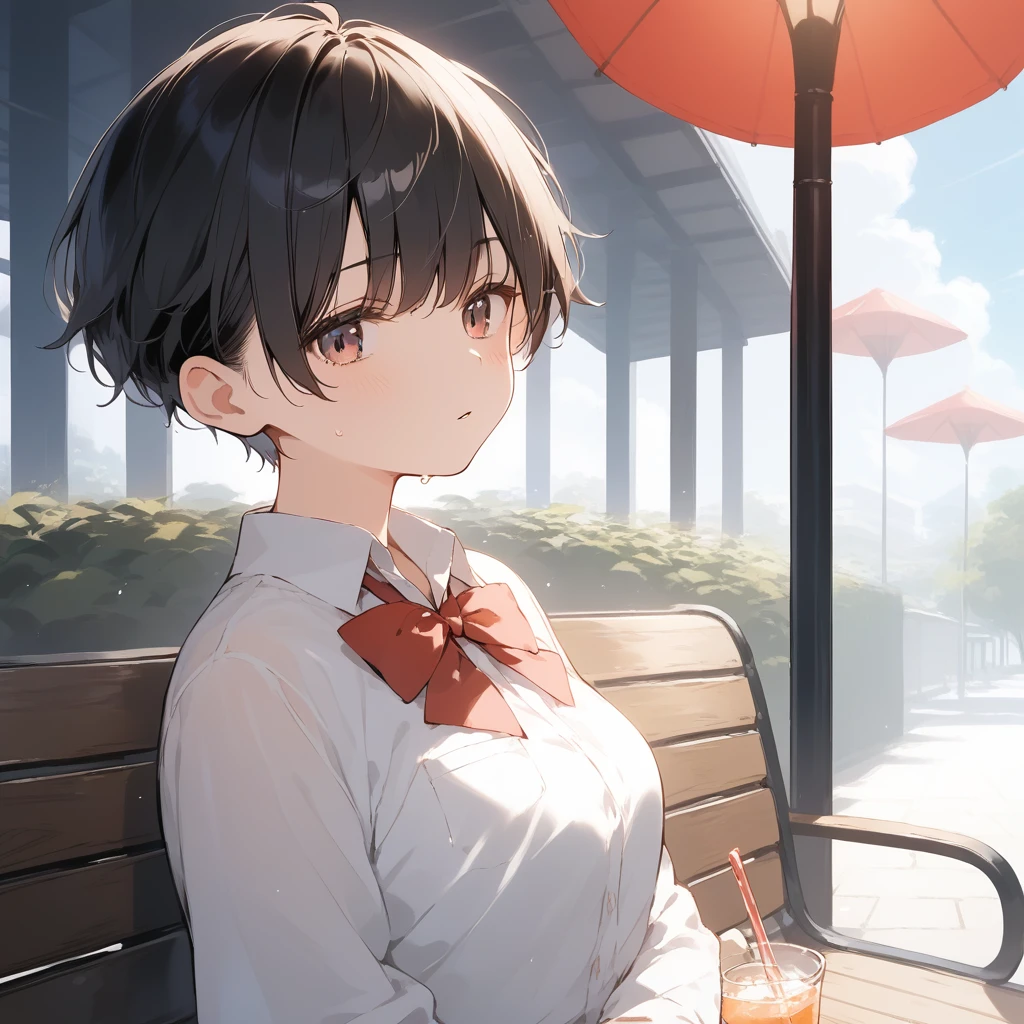 score_9, score_8_up, score_7_up, source_anime, best quality, masterpiece, official art, absurdres, highres, ultra-detailed,waifu2x,Collection: Serious Beauty,break,1girl, very short hair, pixie cut, breasts, beautiful detailed eyes, expressionless, school_uniform, sweat, drink, parted lips, outdoors, park, bench, wind, break,(clear line illustration:1.2), super detailed skin,very high resolution, very aesthetic, Best sexual lighting powered by famous artist, 8k, beauty illustration,photoshop_(medium),,(Detailed Lighting),best anime 8k konachan wallpaper, pixiv contest winner, 