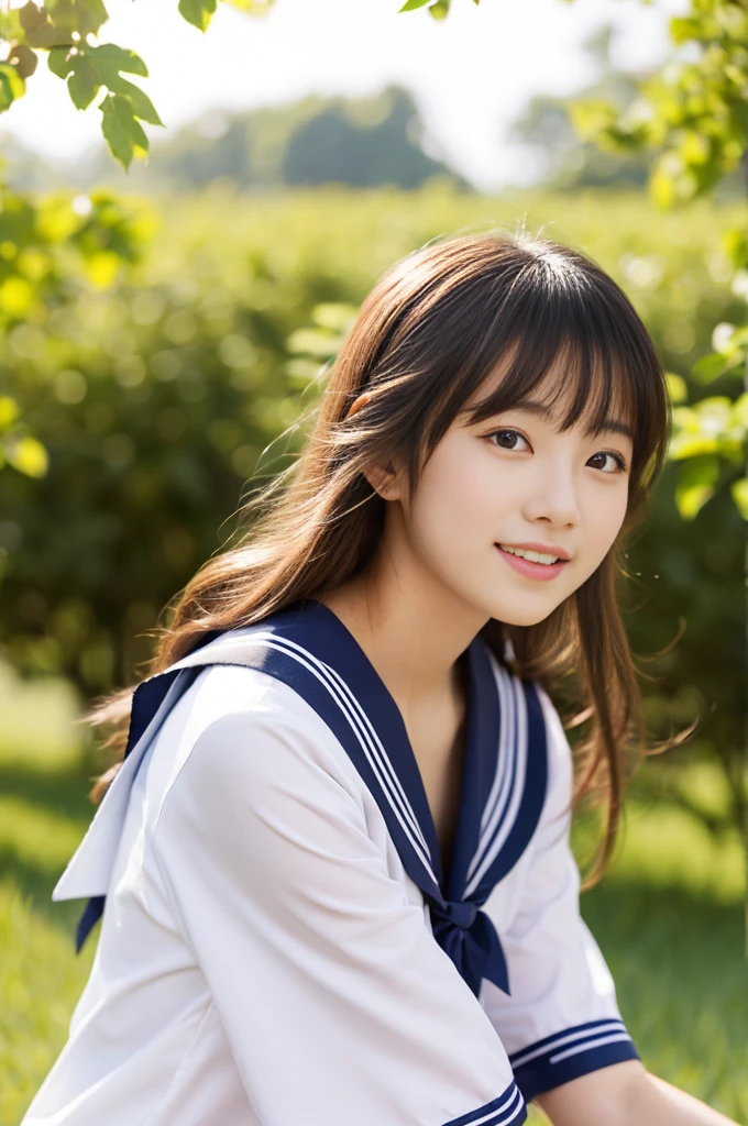 Young Japanese Girl、student、Summer sailor suit、In the summer sunshine、Sitting、No makeup、Natural Hairstyles、Sexual attraction、My hair is fluttering in the fresh wind、Professional Portrait Photography、