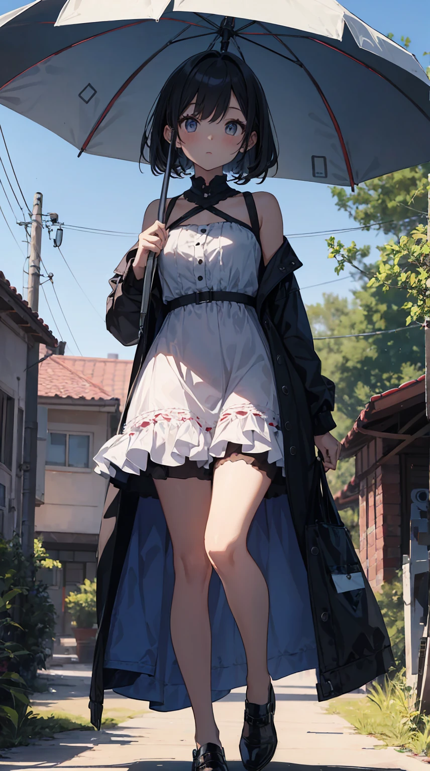 This illustration depicts a cute girl going on a holiday outing. She is in her twenties and has bright eyes. The place is like a park. However, the most noteworthy thing is the "last mysterious high-energy body" she emits. This energy body released from her body has the power to annihilate the garbage in the sky. The blue-white light reaches every corner. She is standing with a parasol and is wearing a dress. It's summer and it's very hot.