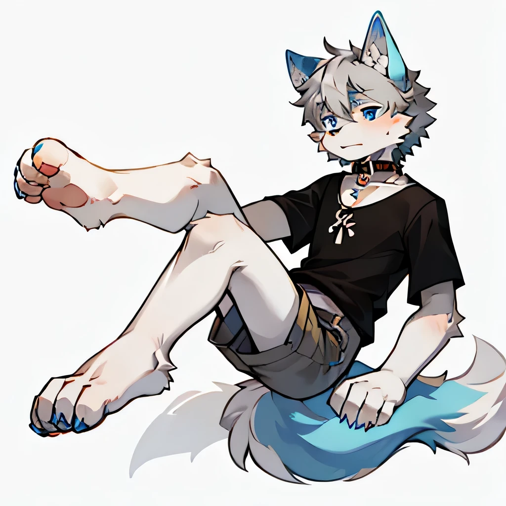 （masterpiece：1.2），（Anatomically correct：1.1），（high quality：1.5），（（（Single male personification）））Kimono furry_Transformed Wolf Flsona，1 Little Wolf，White fur，Deep blue eyes，（Tianbi），White Claw，Whitefoot，Dog hands，（detaileds dog feet：1.2），4 toes，flour，detaileds，（（1 wolf boy）），[number\（artwork）：：：0.8]，4 toes，canine feet，（Movement Line：1.1），Single furry tail，[watercolor（artwork）：0.6]，collar，Common，Gray hair，Short and delicate hair，t-shirt，Grey shorts