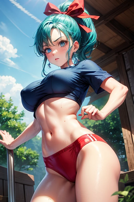 masterpiece, Highest quality, Unreal Engine, Super Resolution, Very detailed,
Beautiful woman, Bloomers, One Girl, alone, blue eyes, Blue Hair, Aqua Hair, Single Blade, Braided Ponytail, Hair Ribbon, Red ribbon, Hair Ribbon, Earrings, Vivid expression, Healthy Body, Beautifully detailed sweat glands, Smooth skin texture, Carefully drawn,
(humidity:1.2), Beautiful Eyes, (Attractive face:1.2), (Beautiful Skin), (Big Breasts), Puffy nipples, (Sticky with sweat), In a dynamic pose,
In the world of Dragon Ball, Capsule Corporation,