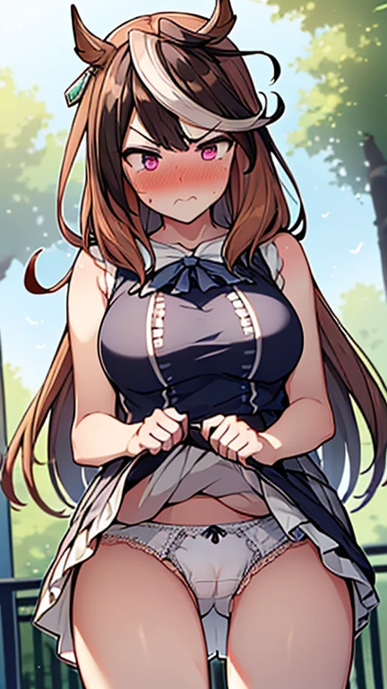 ((((symbolirudolf))))striped dark blue lace shirt ,frilled skirt,sleeveless,large nsfw,(Lift up the skirt:1.4),(white pantiese:1.3),(pubic hair:1.2),(cameltoe:1.2),(love juice:0.7), (frown:1.2),(angry:1.2),contemptuous,disdain,(hate:1.3),looking down,elegant,active angle,dynamism pose, outdoors, (embarrassed,nose blush:1.3),from below
