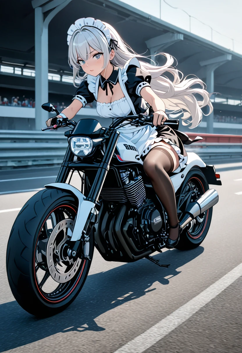 (((Best quality, 8k, Masterpiece: 1.3)), ((best quality)), ((masterpiece)), (detailed), perfect face, A maid girl with long silver hair, Her thick hair flows, A maid costume with frills. , high resolution, Textured skin, anime style, A maid riding a motorcycle, a maid driving a motorcycle, A motorcycle racer leaning her body to take a corner, Knee-high stockings, Honda, CB1300, Drive on the highway