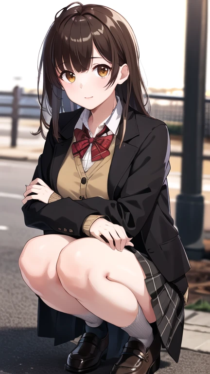 masterpiece, best quality, highres, 1girl, brown hair, long hair, bangs, brown eyes, medium breasts, red bowtie, , black jacket, open jacket, brown cardigan, white shirt, black skirt, plaid skirt, squatting, outdoors