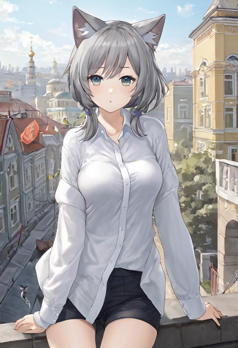 One girl, That will happen, View your viewers, Gray Hair, there is nothing, Cat ear, Feline tail, White shirt, Open clothes, Russian cities, ba-shiroko