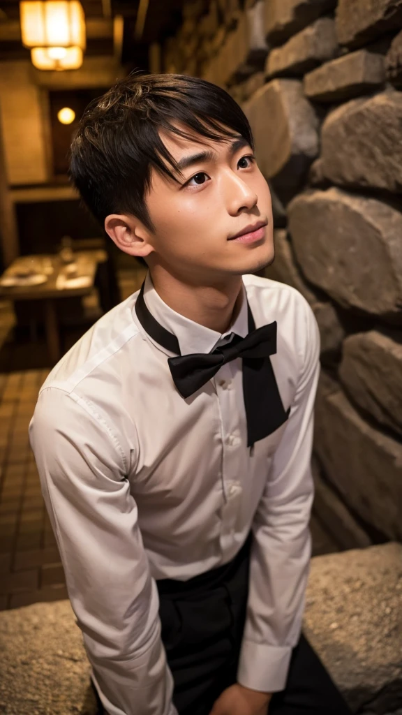 Ginza、underground、Hidden Restaurant、Stone Wall、Waiter、24-years-old、male、Japanese、naked、Black bow tie、Black front cover、Kneel to a customer、Looking up、Ultra HD、Real Photo