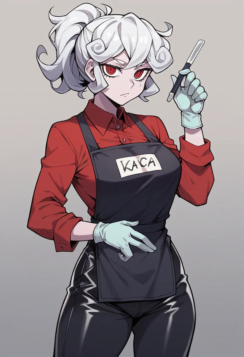 1girl, pandemonica \(helltaker\), ((blue surgical gloves)), (latex gloves), (red shirt), ((long sleeves)), (black apron), (pants), looking at viewer, standing, solo
