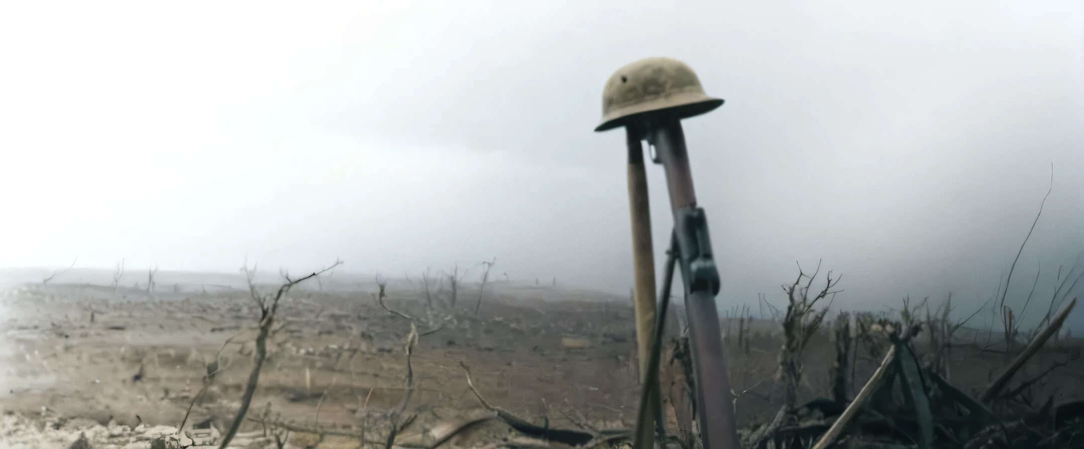 A desolate landscape with a barren, cracked ground and scattered, dying vegetation. In the foreground, a tommy helmet is perched atop a rifle, symbolizing loss and remembrance. A muted, cloudy sky looms overhead, enhancing the somber mood of the scene.
