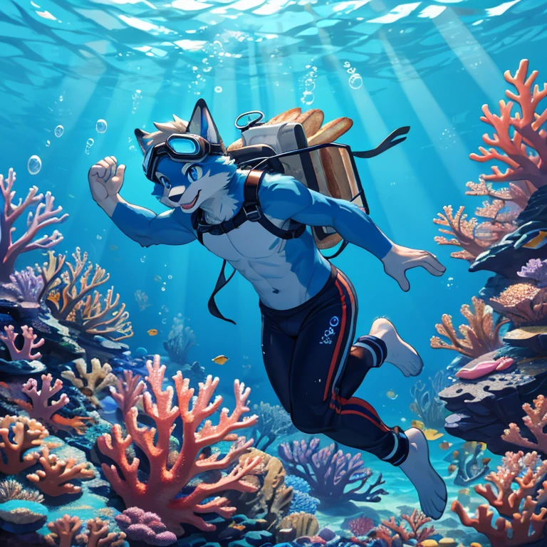 Masterpiece, High quality, One furry, solo, male people, blue fur, right blue eye, diving, sea ​​bread, coral reef, happy face, underwater goggles, beautiful eye, catch light, wears swim pants, sunny day