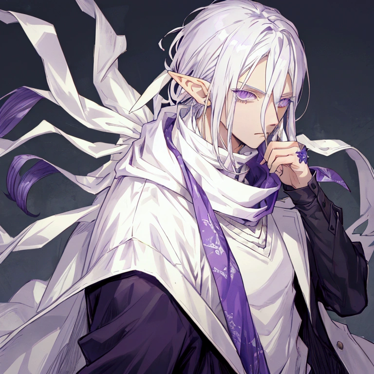  Estilo chainsaw man: A man with silver hair that reaches his shoulders, with detailed purple eyes and elf ears, he wears a white scarf and white clothes; he has a neutral expression 