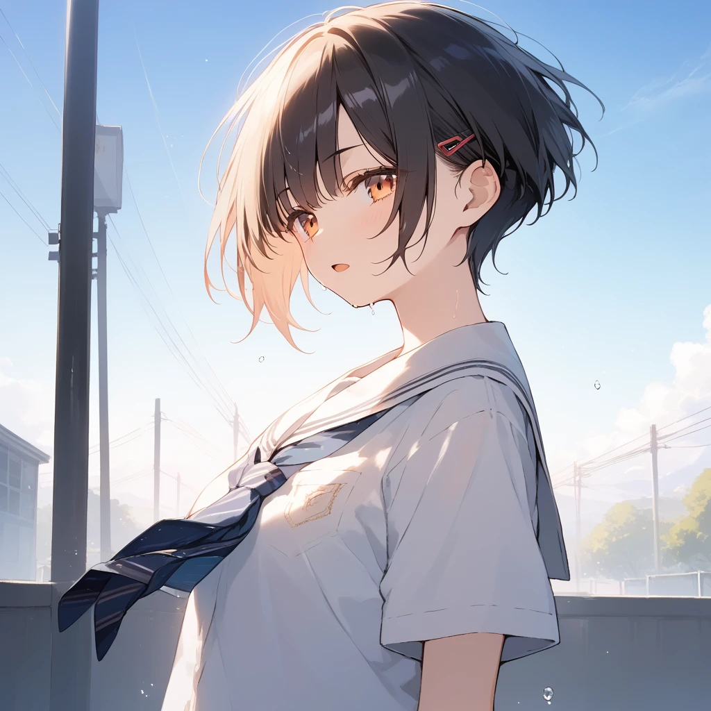 score_9, score_8_up, score_7_up, source_anime, best quality, masterpiece, official art, absurdres, highres, ultra-detailed,waifu2x,Collection: Serious Beauty,break,1girl, very short hair, pixie cut, breasts, beautiful detailed eyes, expressionless, school_uniform,  sweat, open mouth, (yawn:0.3), sleepily, outdoors, school commute route,wind, break,(clear line illustration:1.2), super detailed skin,very high resolution, very aesthetic, Best sexual lighting powered by famous artist, 8k, beauty illustration,photoshop_(medium),,(Detailed Lighting),best anime 8k konachan wallpaper, pixiv contest winner, artist:da-kuro,artist:carnelian ,artist:kantoku ,