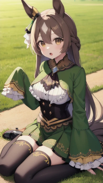 masterpiece, best quality, highres, aasato, long hair, half updo, braid, hair between eyes, animal ears, ear ornament, horse tail, breasts, frills, black ascot, green dress, (sleeves past wrists:1.2), black thighhighs, outdoors, field, wariza, sitting, on floor, :o