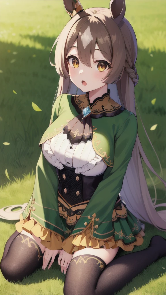 masterpiece, best quality, highres, aasato, long hair, half updo, braid, hair between eyes, animal ears, ear ornament, horse tail, breasts, frills, black ascot, green dress, (sleeves past wrists:1.2), black thighhighs, outdoors, field, wariza, sitting, on floor, :o