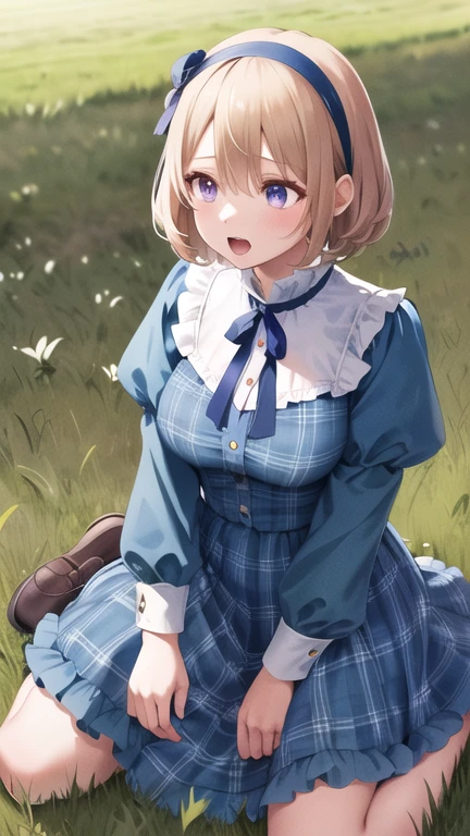 masterpiece, best quality, highres, us1, blonde hair, purple eyes, hairband, long sleeves, blue hairband, blue dress, frills, shirt, neck ribbon, blue ribbon, plaid, cowboy shot, wariza, open mouth, grass, field, sky