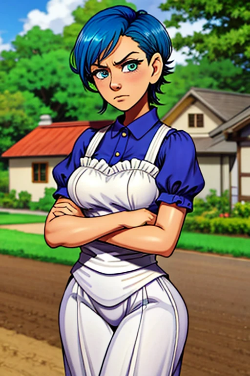 (masterpiece, best quality:1.2), sharp focus,
shiny skin, 1girl, solo,
motsuaki,
1girl, solo, straight-on, farm, plantation, noon, crossed arms, blue hair, short hair, side braid, coral eyes, mature female, milf, maid outfit, medium breasts, angry,
