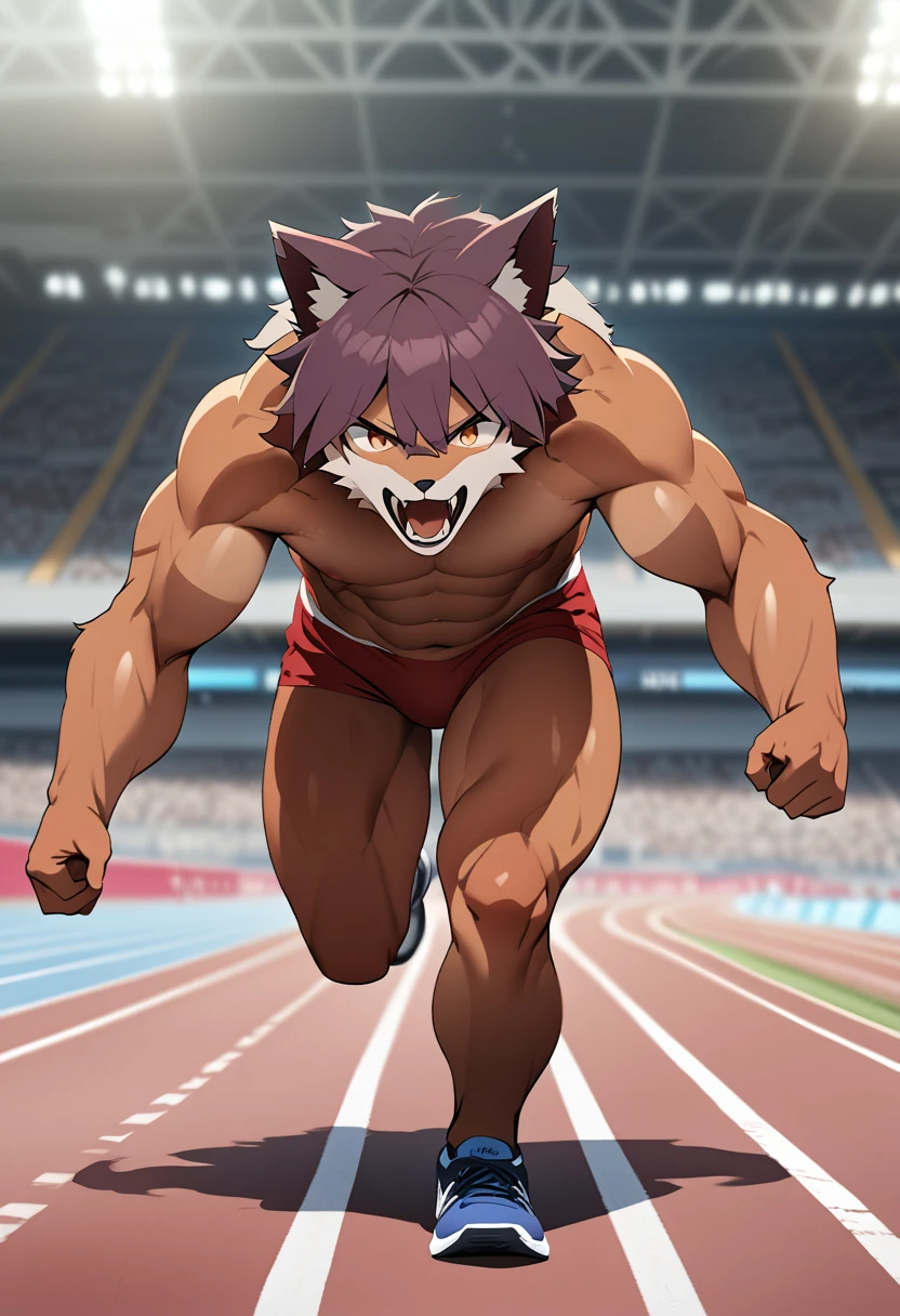 a photo finish shoot of a muscular (anthomorph wolf: 1.3) on the running lane,  ((full body shot: 1.5)), ((anatomically correct: 1.5)) (ultra detailed face: 1.2), dynamic fur color, intense eyes, determined look, he is (wearing running t shirt: 1.3), (sports shoes: 1.2), running lane in an athlete stadium in the Olympics,  vibrant, Ultra-high resolution, High Contrast, (masterpiece:1.5), highest quality, Best aesthetics), best details, best quality, highres, 16k, [ultra detailed], masterpiece, best quality, (extremely detailed) RAW, (ultra details, Masterpiece, best quality), Cinematic Hollywood Film, Intense gaze