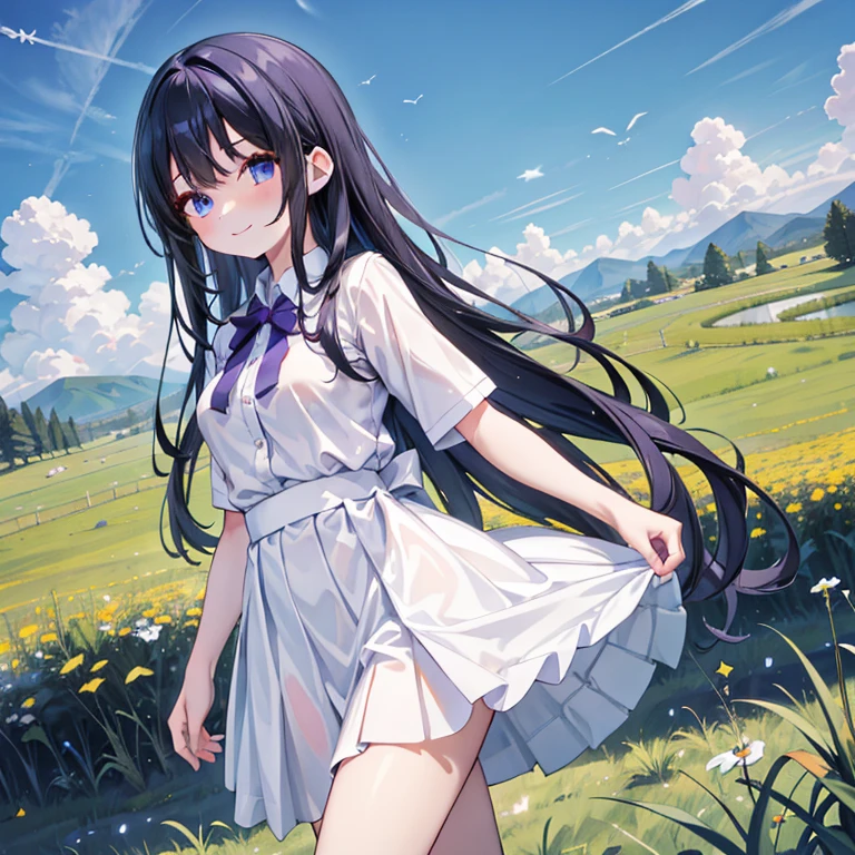 Masterpiece, best quality, high quality, 1girl, solo, has long black hair, Blue eyes, wearing plain White shirt with Purple skirt, pretty face, medium breasts, walking in the grassland, absurdres, high res, ultrasharp, 8K, masterpiece, looking at viewer, smiling, Sunny day, Blue sky