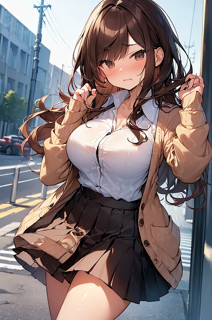 (Masterpiece, Top quality: 1.5), (large breasts:1.3), (Cardigan, dress shirt, Pleated skirt:1.4), standard weight, ( brown hair:1.4), (airy hair, wavy hair:1.3), long hair ,asymmetry bangs, swept bangs, , angry, (flustered:1.3), beautiful scene of street , dynamic pose, magnificent panorama view