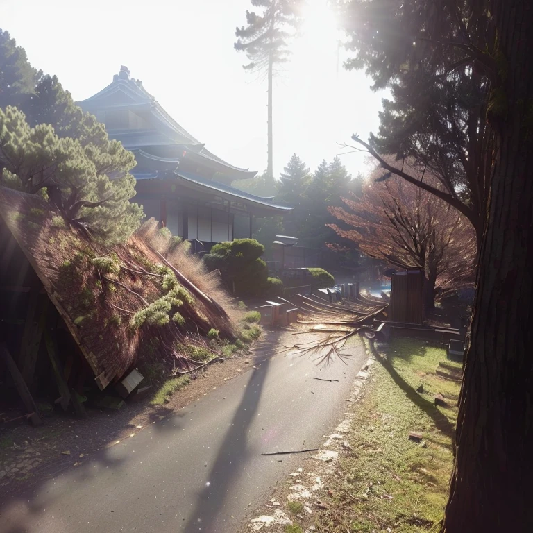 There is a fallen tree on the roadside, Directional sunlight distortion shot, There is a pine tree, Taken with a Sony A3 camera, fallen wood, some fallen wood, iPhone Capture, Beautiful raking sunlight, The sunlight pouring down, Grown-up botanical garden, Near a Japanese shrine, trailer, nature growing around the city, Beautiful afternoon lighting