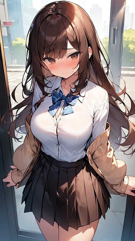 (Masterpiece, Top quality: 1.5), (1 girl, solo :1.2), (large breasts:1.2), (Cardigan, dress shirt, Pleated skirt:1.4), standard weight, ( brown hair:1.4), (airy hair, wavy hair:1.3), long hair ,asymmetry bangs, swept bangs, junior high school student, angry, (flustered:1.3), beautiful scene of street , dynamic pose, magnificent panorama view